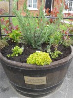 /album/photos-2012/herb-barrel-small-jpg/